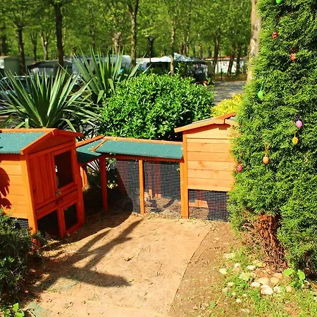 Camping Les Tries Olot