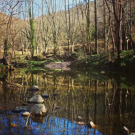 Camping Camping Les Tries Olot